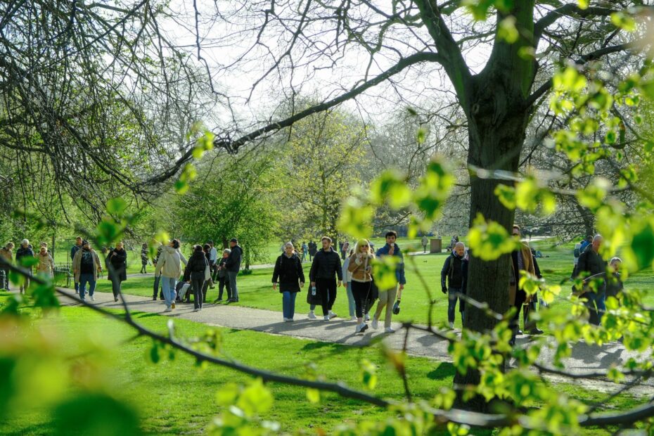 A group of people walking on a path in a park